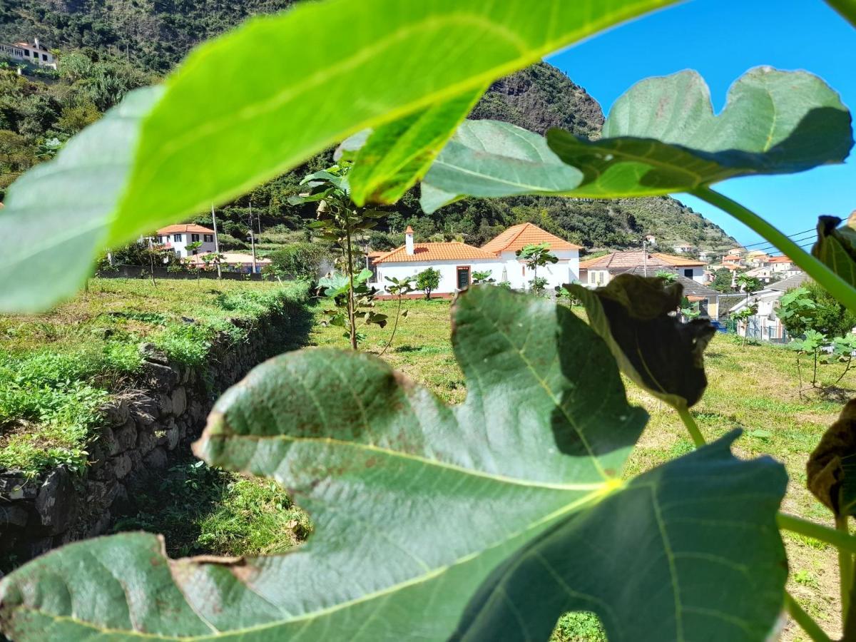 Vila Casa Do Bago São Vicente Exteriér fotografie